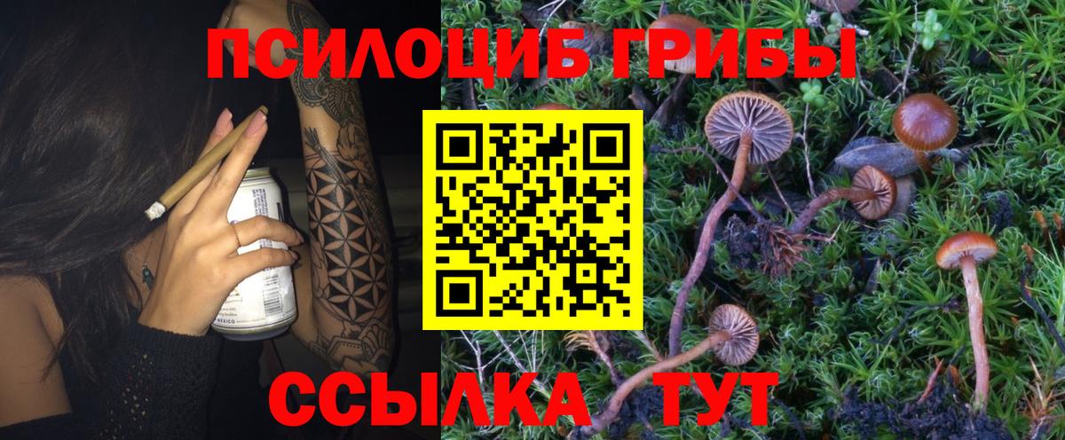 Канабис  Codein  Меф МЯУ МЯУ   Метамфетамин  LSD-25  Гашиш  Кокаин  Сланцы  Вход с VPN 