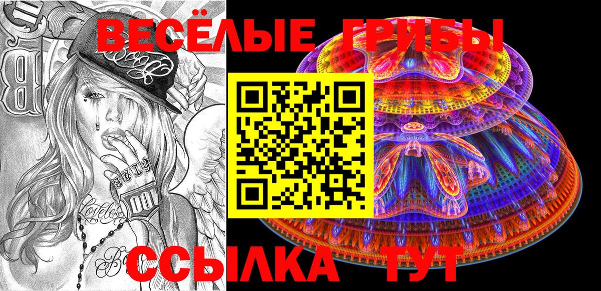 Сланцы  Псилоцибиновые грибы GOLDEN TEACHER  закладки  Вход с VPN 